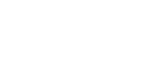 VSY Logo in white